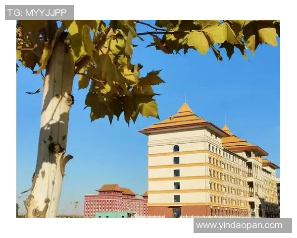 重庆网球队崛起之路：从默默无闻到赛场辉煌的成长历程